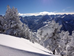 Pyrenees Emotions